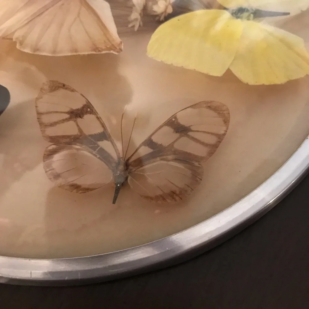 Vintage butterfly and dried flower wall hanging - Picture 8 of 8